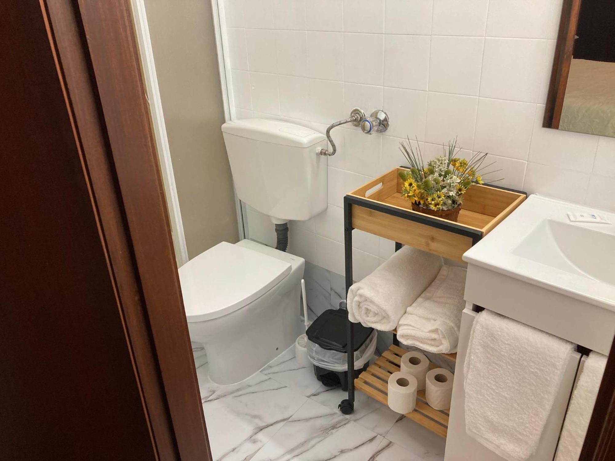 사오페드로도술 Alojamento Thermal Romano B&B 외부 사진